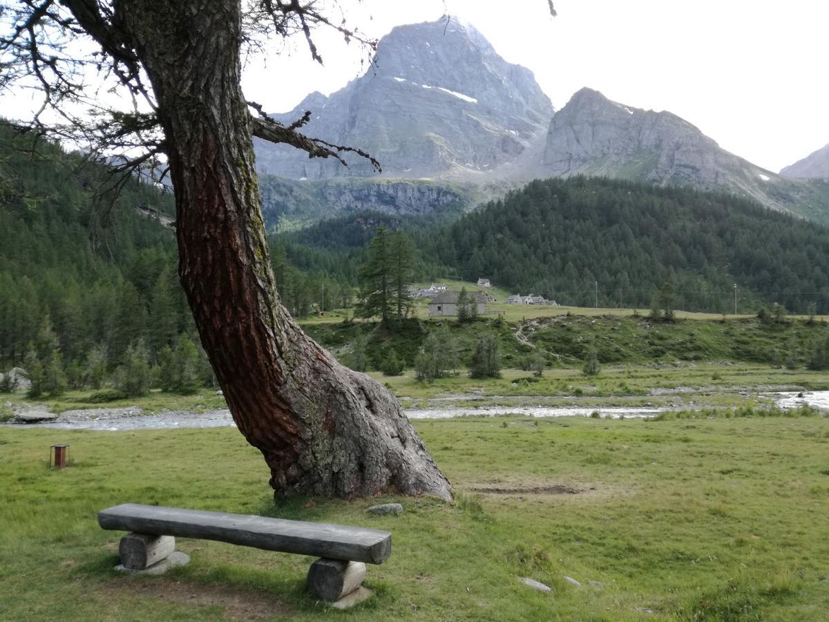 Voglia Di Veglia Otel Varzo Dış mekan fotoğraf